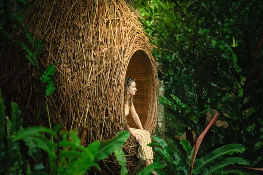 Bali: Monkey Forest, Tegalalang, Uluwatu & Kecak Dance Tour - The Kecak Fire Dance: what to expect and how to get a good seat