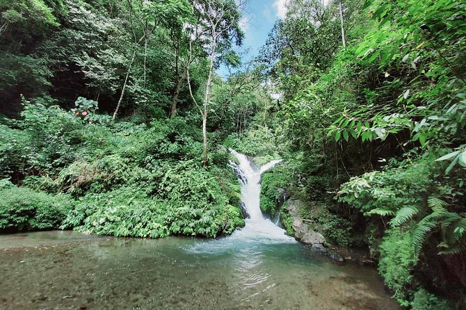 Bali Most Scenic Waterfalls Trekking - Why this Wanagiri Hills waterfall trek feels different