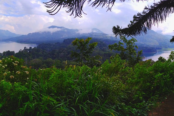 Bali Most Scenic Waterfalls Trekking - The waterfall-and-scenery stops you’ll actually see