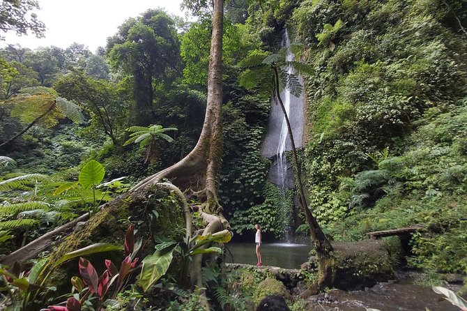 Bali Most Scenic Waterfalls Trekking - Price and value: what $35 really buys you