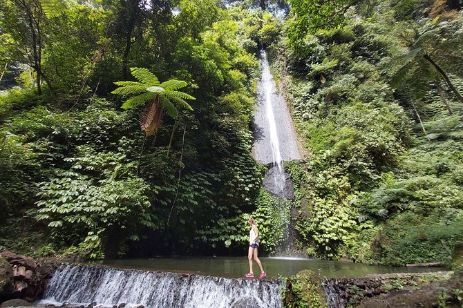 Bali Most Scenic Waterfalls Trekking - Best-fit travelers (and who might not love it)