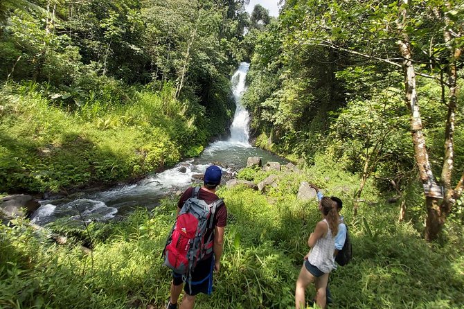 Bali Most Scenic Waterfalls Trekking - Getting picked up in Kuta or Ubud (and what to watch)