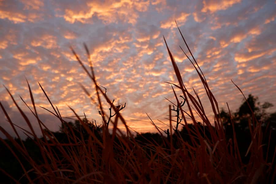 Bali: Mount Batur Entry Ticket on a Guided Hike or Jeep Ride - Key Points You’ll Care About