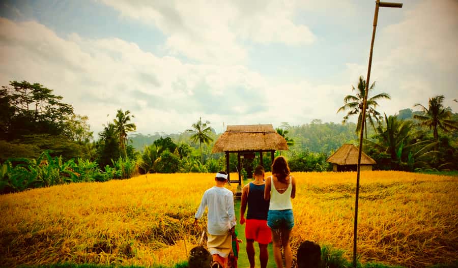 Bali: Mount Batur Sunrise Hike with Breakfast & Hot Spring - Who should book this (and who should skip it)