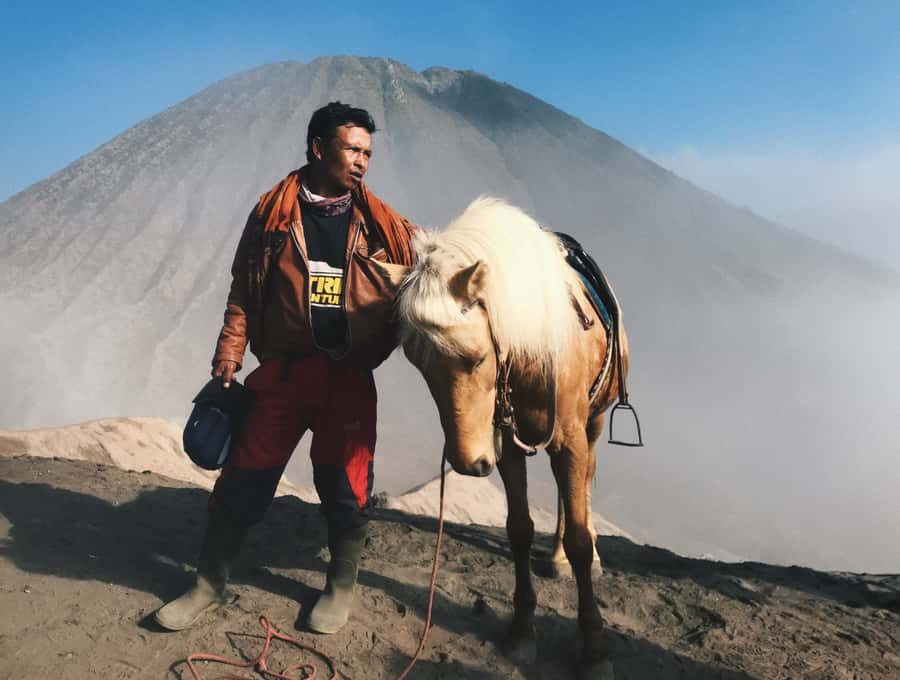 Bali: Mount Bromo and Kawah Ijen 3-Day Volcanic Trip - Day 1 at Bromo: settling in for the early wake-up