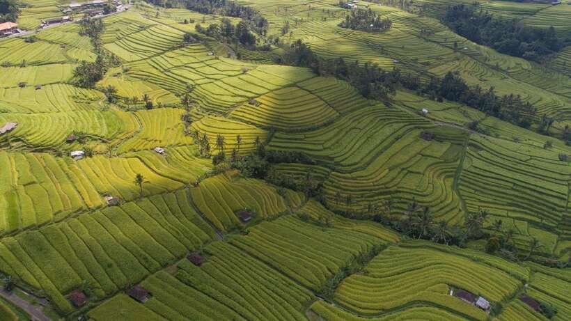 Bali: North Bali Customizable itineraries Trip with Transfer - Ulun Danu Bratan Temple: Where the Lake Changes the Mood
