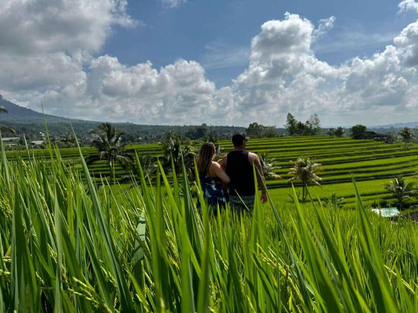 Bali: North Bali Customizable itineraries Trip with Transfer - Jatiluwih Rice Terrace: UNESCO Views That Depend on What You’ll See