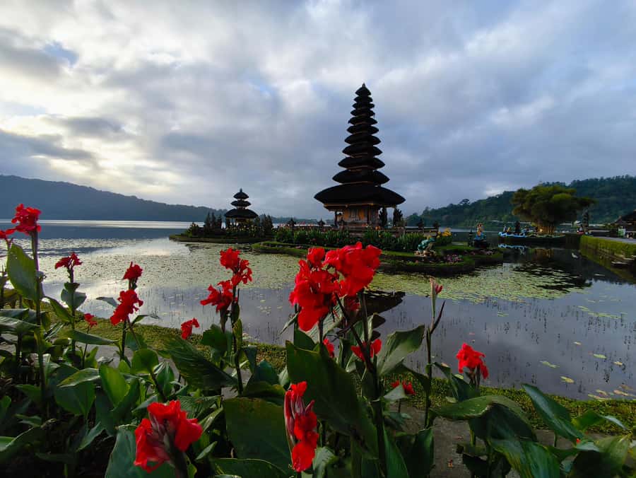 Bali: North Bali Tour With Yeh Hoo Waterfall - Key things I’d highlight before you go