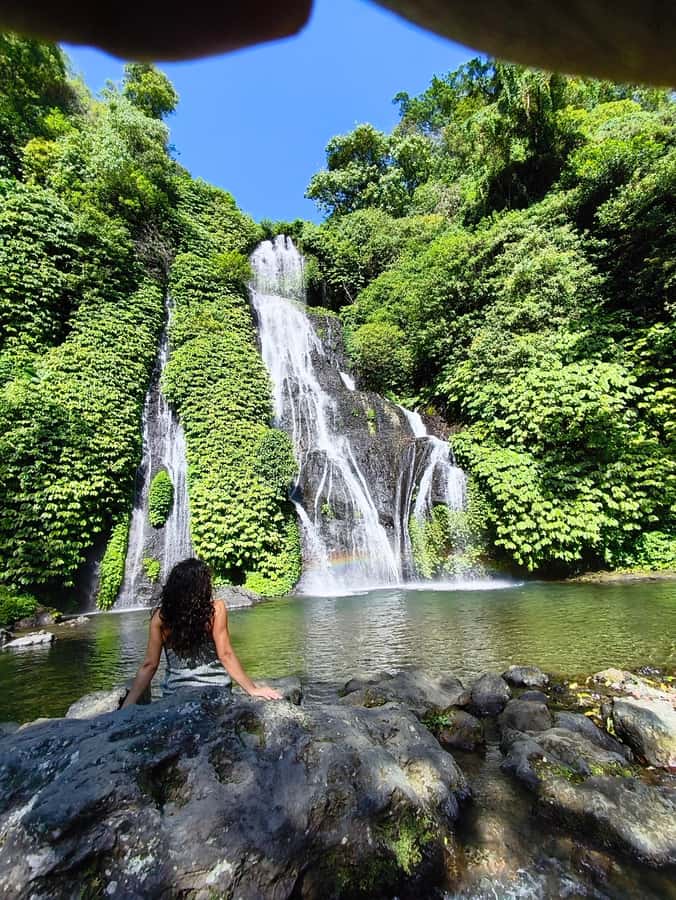 Bali: North Bali Tour With Yeh Hoo Waterfall - Price and what makes this tour feel like value at $49