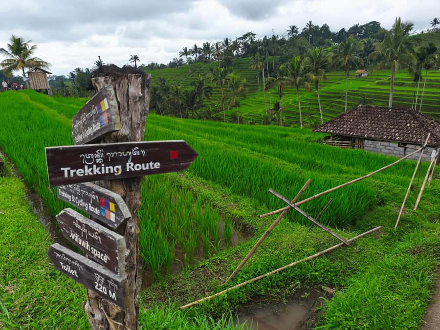 Bali: North Bali Tour With Yeh Hoo Waterfall - Lunch break at a local restaurant: included time, not included food