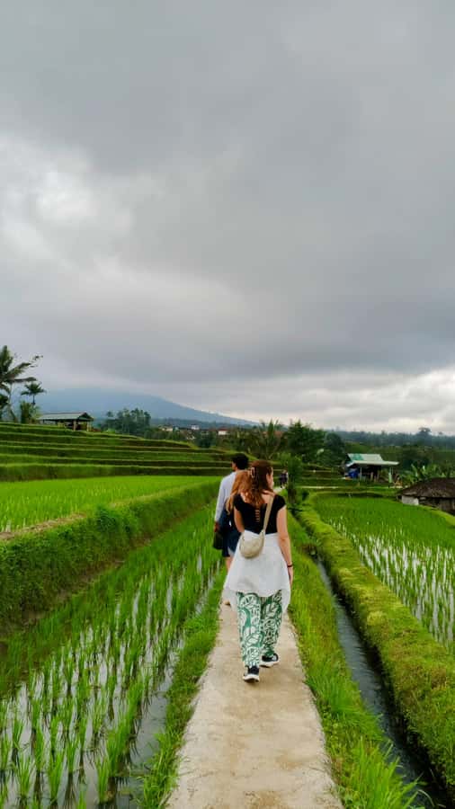 Bali: North Bali Tour With Yeh Hoo Waterfall - Coffee plantation stop: a short tasting pause that actually fits the day