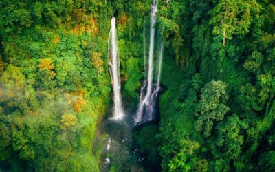 Bali: North Highlights Private Full-Day Customized Tour - Waterfalls of North Bali: Sekumpul, Fiji, Banyumala, Aling-Aling, Munduk