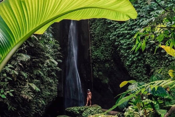 Bali : Northern Bali Private Day Trip with Transfer - Key highlights to plan around