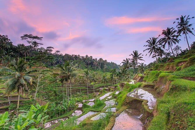 Bali : Northern Bali Private Day Trip with Transfer - Price and Logistics: What $42 Buys You (and What It Doesn’t)