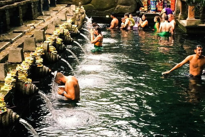 Bali : Northern Bali Private Day Trip with Transfer - The Best Kind of Traveler for This Northern Bali Plan