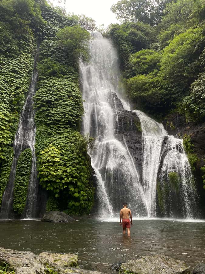 Bali Northern Trip : Majestic Waterfall Tour - Key highlights you’ll actually feel