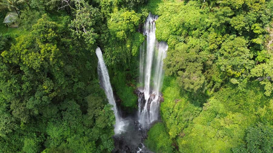 Bali Northern Trip : Majestic Waterfall Tour - Sekumpul Waterfall and the Natural Water Slide