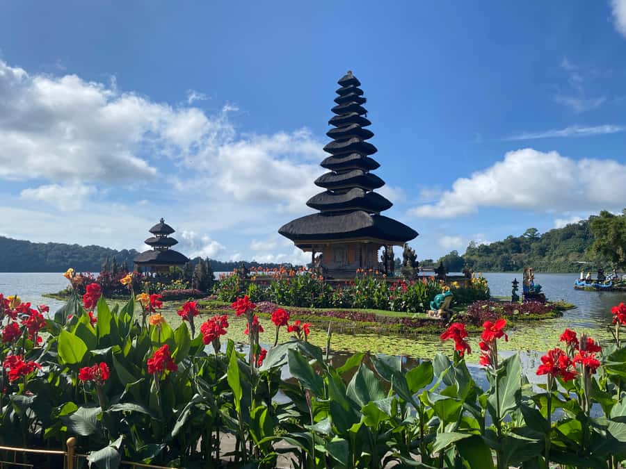 Bali Northern Trip : Majestic Waterfall Tour - Price and Value: $36 for Transport, Water, and a Full Day