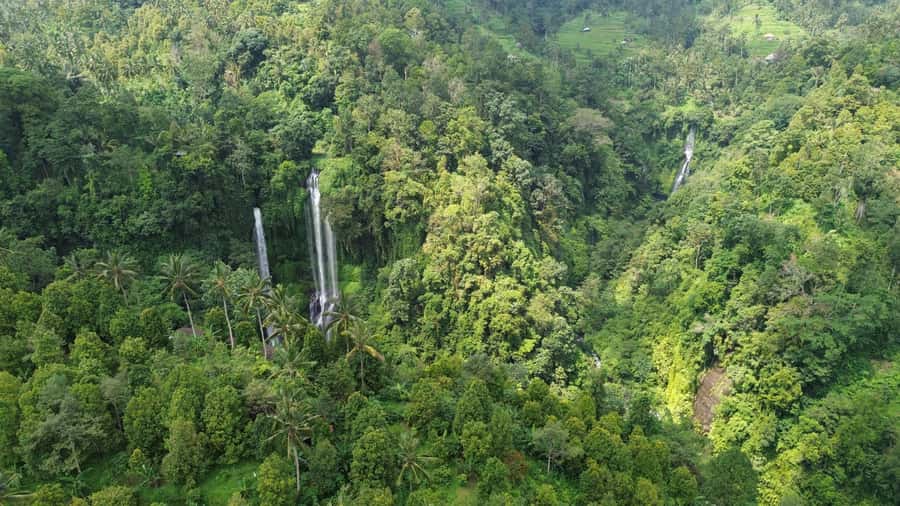 Bali Northern Trip : Majestic Waterfall Tour - Should You Book the Majestic Waterfall Tour?