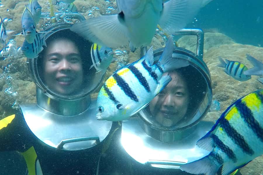 Bali: Nusa Dua Underwater Sea Walking Experience - Price and value: is $53 worth a 15-minute walk?