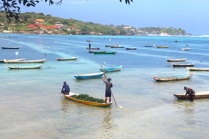 Bali Nusa Lembongan Islands Private Tour - All Inclusive - 8 Hours Off the Coast: What This Tour Actually Delivers