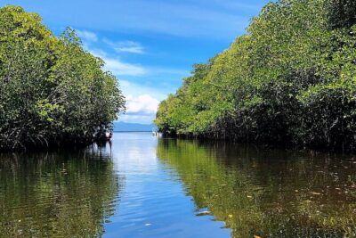 Bali Nusa Lembongan Islands Private Tour - All Inclusive - Price and Value for $110: Convenience You Can Feel