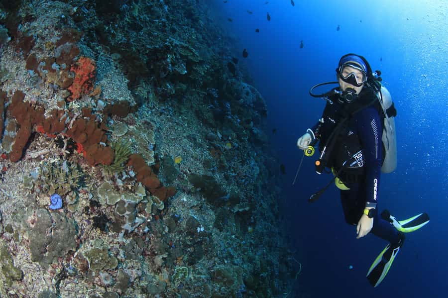 Bali/Nusa Penida: 3 Fun Dives to Manta Point, Mola & Reef - Manta Point: where the day’s magic is supposed to happen