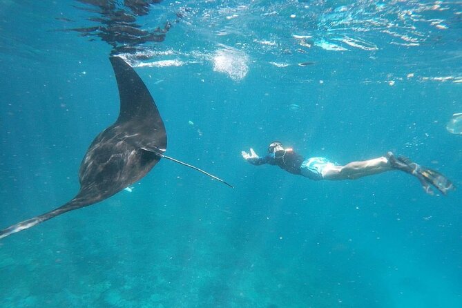 Bali Nusa Penida and Private Snorkeling (Manta Bay, Gamat, Wall) - From Kuta pickup to Sanur Harbor: why the early start matters