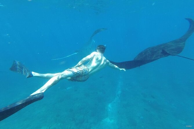 Bali Nusa Penida and Private Snorkeling (Manta Bay, Gamat, Wall) - The Sanur fast boat: getting to Penida without losing your whole day