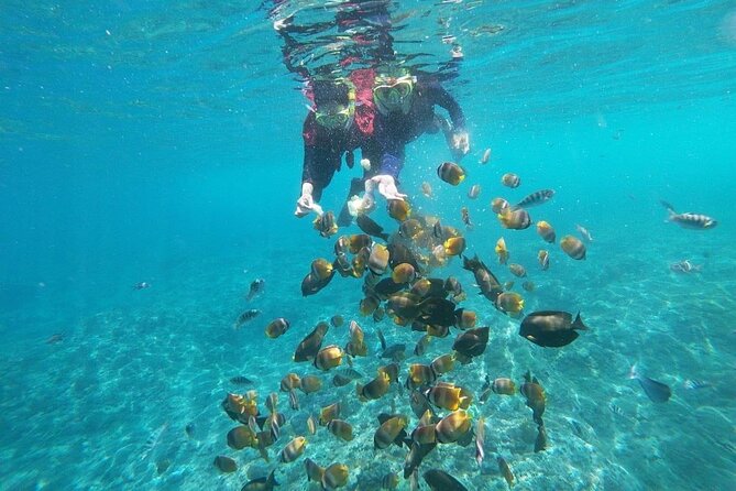 Bali Nusa Penida and Private Snorkeling (Manta Bay, Gamat, Wall) - Manta Bay snorkeling: the main event you’ll plan the day around