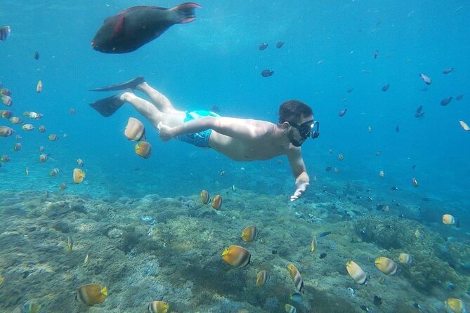 Bali Nusa Penida and Private Snorkeling (Manta Bay, Gamat, Wall) - Gamat Bay and the reality check on current