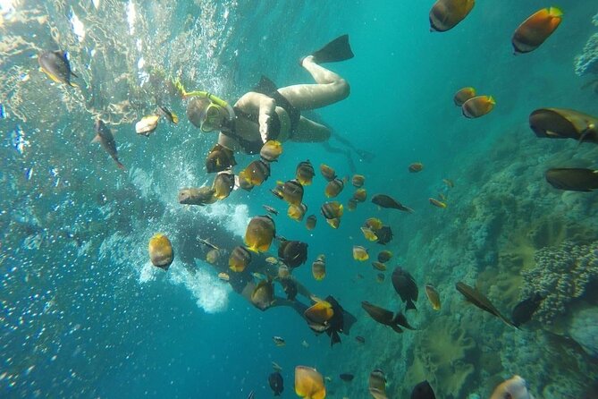 Bali Nusa Penida and Private Snorkeling (Manta Bay, Gamat, Wall) - Wall Bay Point (Crystal Bay): wall-style snorkeling with a short timing window