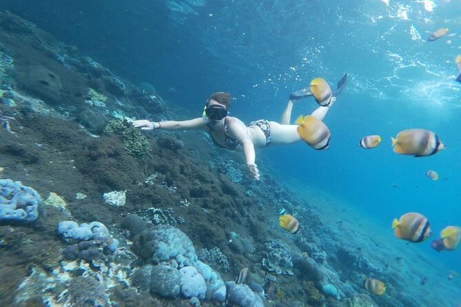 Bali Nusa Penida and Private Snorkeling (Manta Bay, Gamat, Wall) - Timing and pacing: how a 10-hour day stays fun
