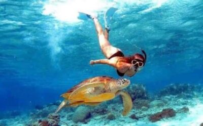 Bali: Nusa Penida Full-Day Trip with Snorkeling - Snorkeling at 3 Bays: Manta Bay, Gamat Bay, and Crystal Bay