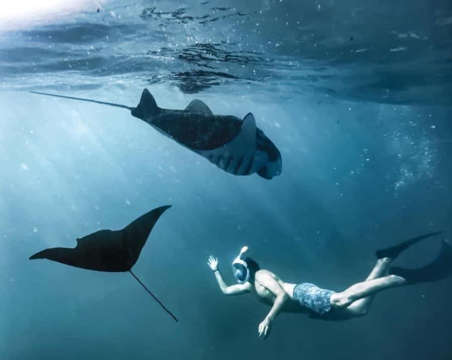 Bali: Nusa Penida Full-Day Trip with Snorkeling - Road Conditions and Photo Timing: What You Need to Know Before You Go