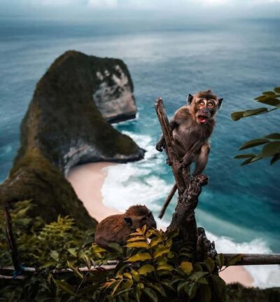 Bali/Nusa Penida: Highlight West FullDay Nature Tour & Lunch - Pickup Times and Speedboat Reality: How Your Day Starts