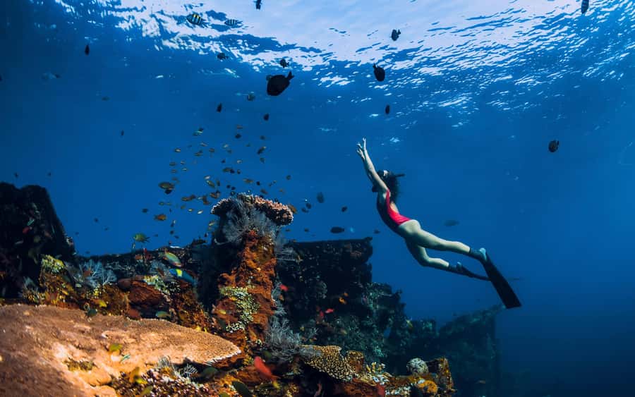 Bali/Nusa Penida: Manta Point Snorkel Boat & West Coast Tour - Key highlights you’ll actually care about