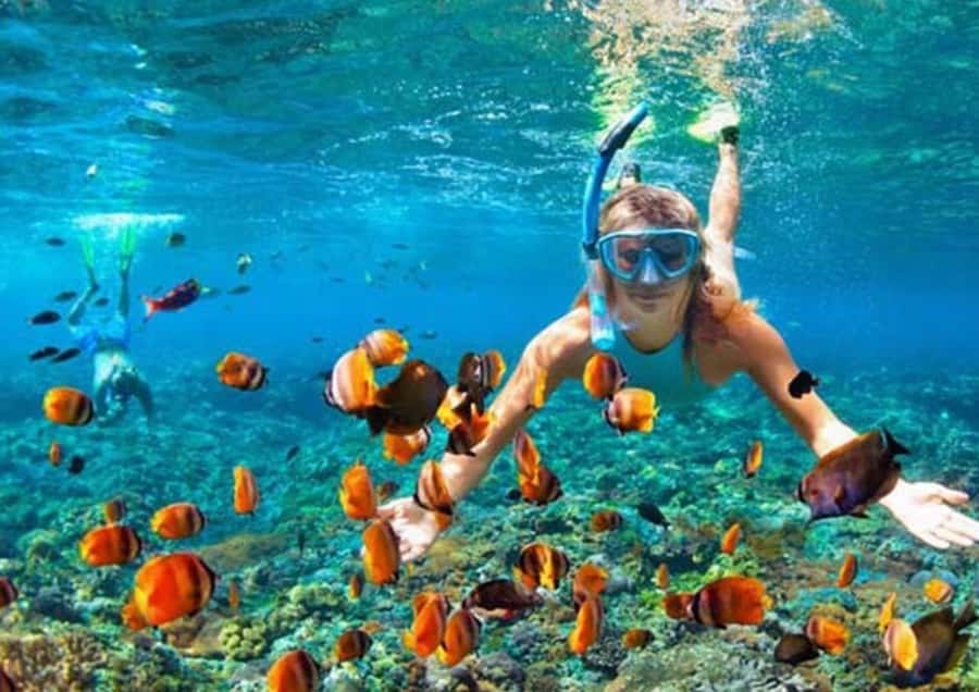 Bali/Nusa Penida: Manta Point Snorkel Boat & West Coast Tour - Should you book this Bali and Nusa Penida manta ray tour?