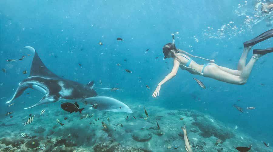 Bali/Nusa Penida: Manta Point Snorkeling & West Coast Tour - Manta Rays and West Coast Cliffs: What the Day Really Feels Like