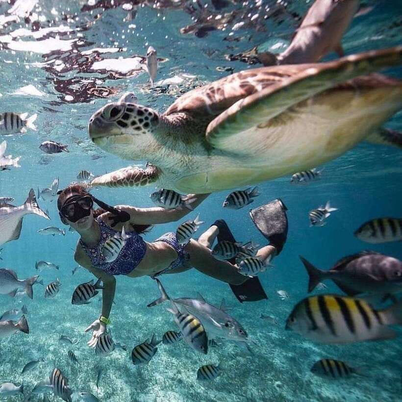Bali: Nusa Penida Manta Snorkeling Tour & Beach Club Access - Key Highlights I’d Plan Around
