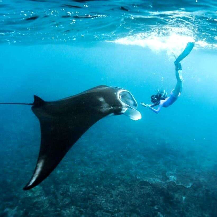Bali: Nusa Penida Manta Snorkeling Tour & Beach Club Access - From Bali To Nusa Penida: How the Day Actually Moves