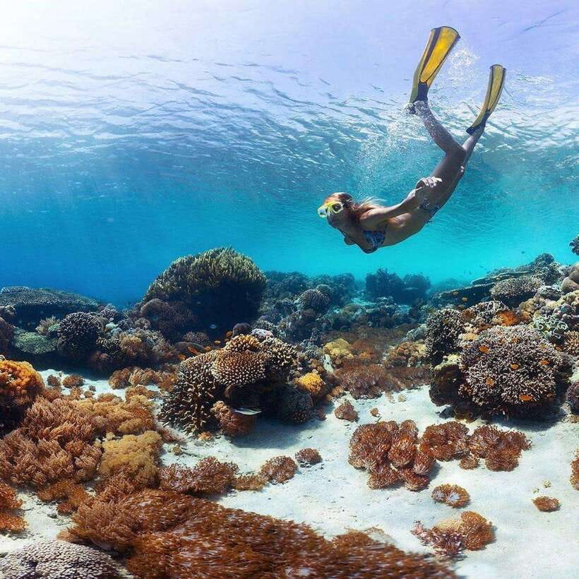 Bali: Nusa Penida Manta Snorkeling Tour & Beach Club Access - Gamat Bay: Shorter Stop, Still Worth Your Focus