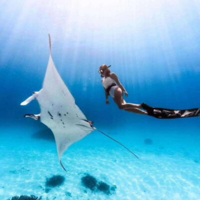 Bali: Nusa Penida Manta Snorkeling Tour & Beach Club Access - Manta Point: Where You Spend Your Best Snorkeling Time