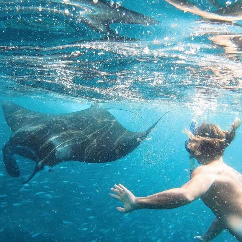 Bali: Nusa Penida Manta Snorkeling Tour & Beach Club Access - Who Should Book This Tour (And Who Should Skip It)