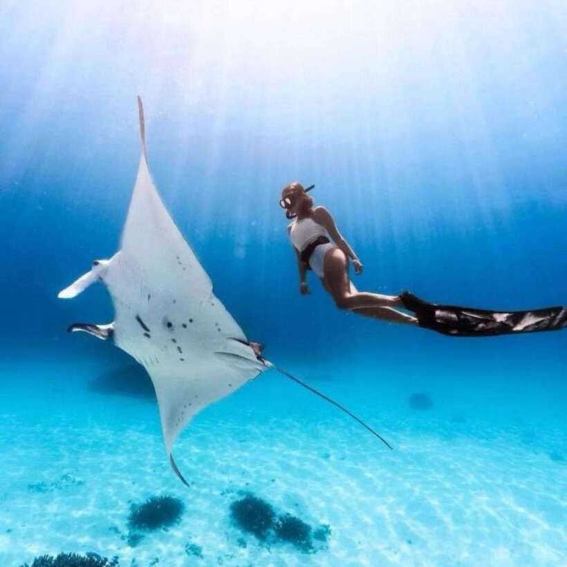 Bali: Nusa Penida Manta Snorkeling Tour & Beach Club Access - Manta Point: Where You Spend Your Best Snorkeling Time