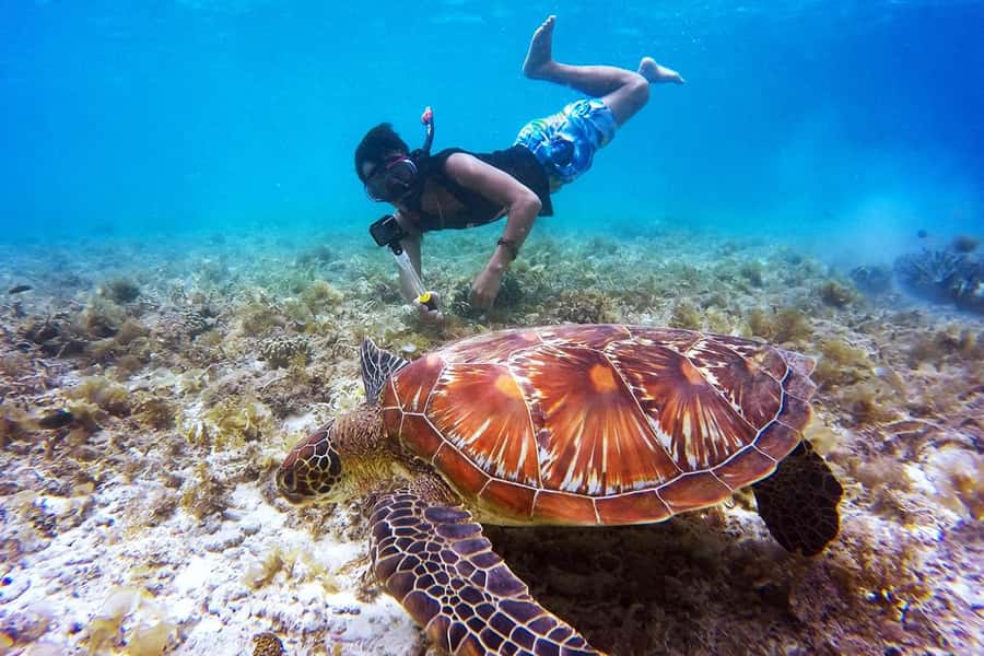 Bali: Nusa Penida Speedboat Trip with Snorkeling and Tour - Key Points at a Glance