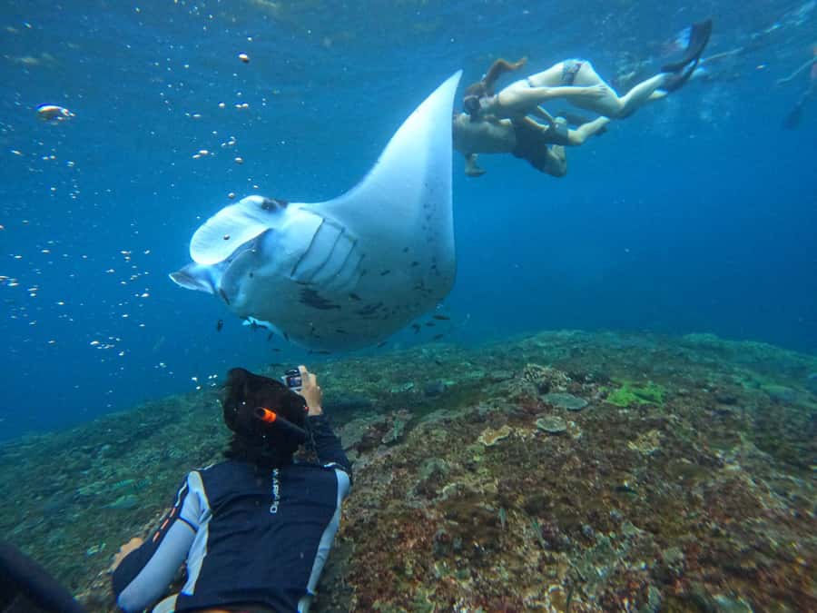 Bali: Nusa Penida Tour with Lunch & Manta Point Snorkeling - The big picture: what this $73 Nusa Penida day trip really delivers