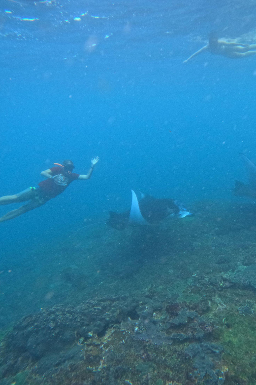 Bali: Nusa Penida Tour with Lunch & Manta Point Snorkeling - Manta Point snorkeling: unforgettable if conditions cooperate