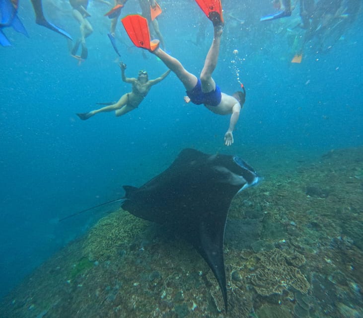 Bali: Nusa Penida Tour with Lunch & Manta Point Snorkeling - The guide makes the difference: Yudi and why he’s praised