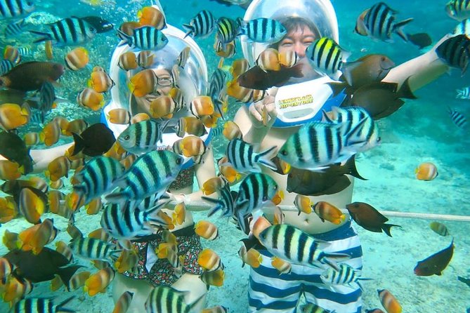 Bali Ocean Walker - Key things to know before you go